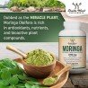 Double Wood Supplements Moringa Powder Capsules Organic 1000mg